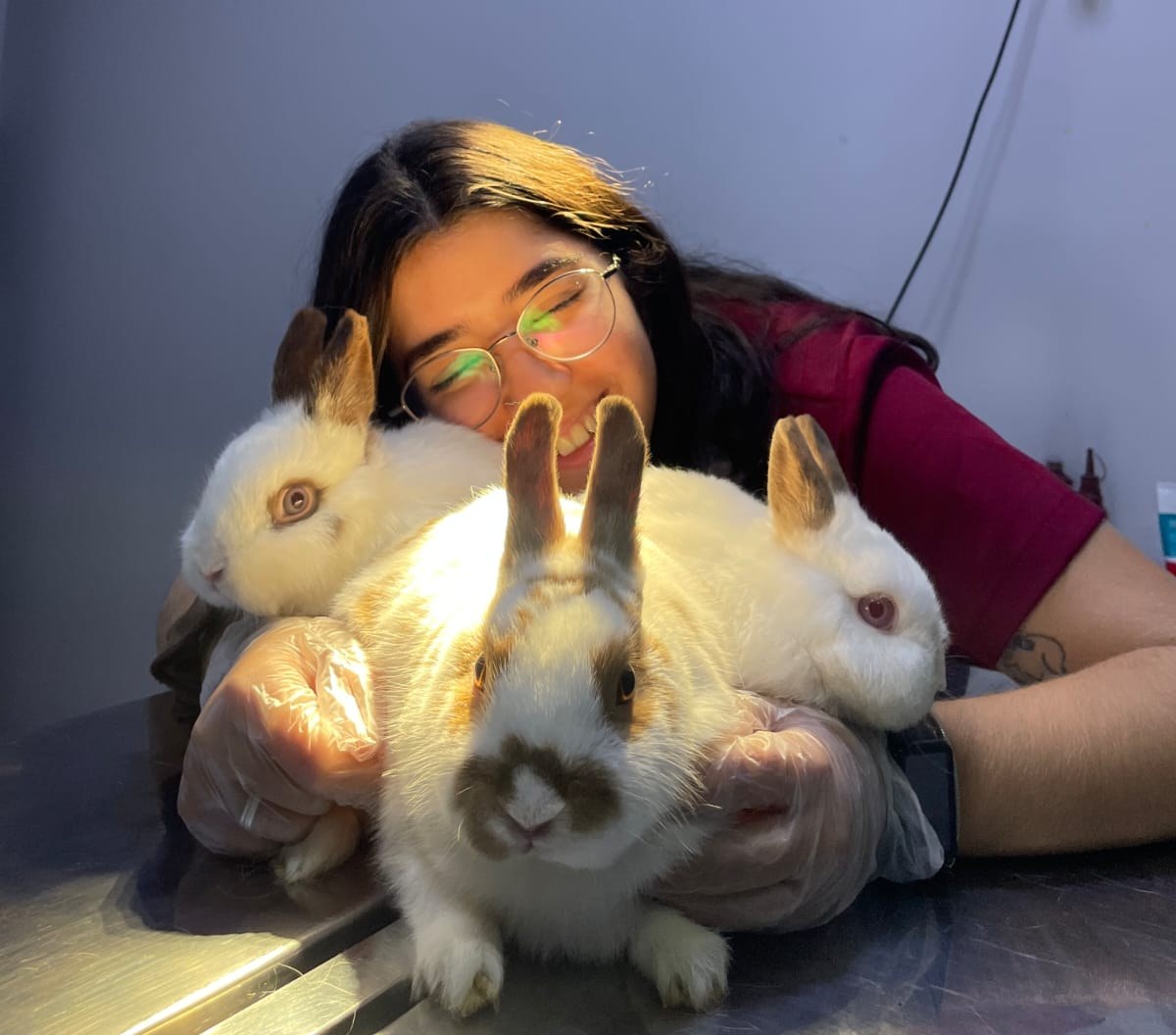 Alexia Dainez – Enfermeira Veterinária – Instituto VetCare Valinhos